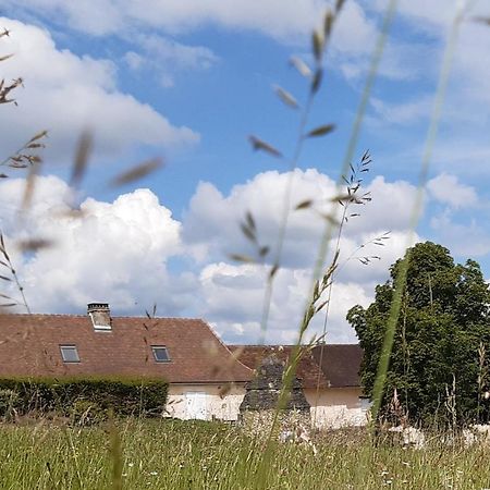 Gites Le Clos De Lamie Avec 2 Piscines Privees Fossemagne Buitenkant foto